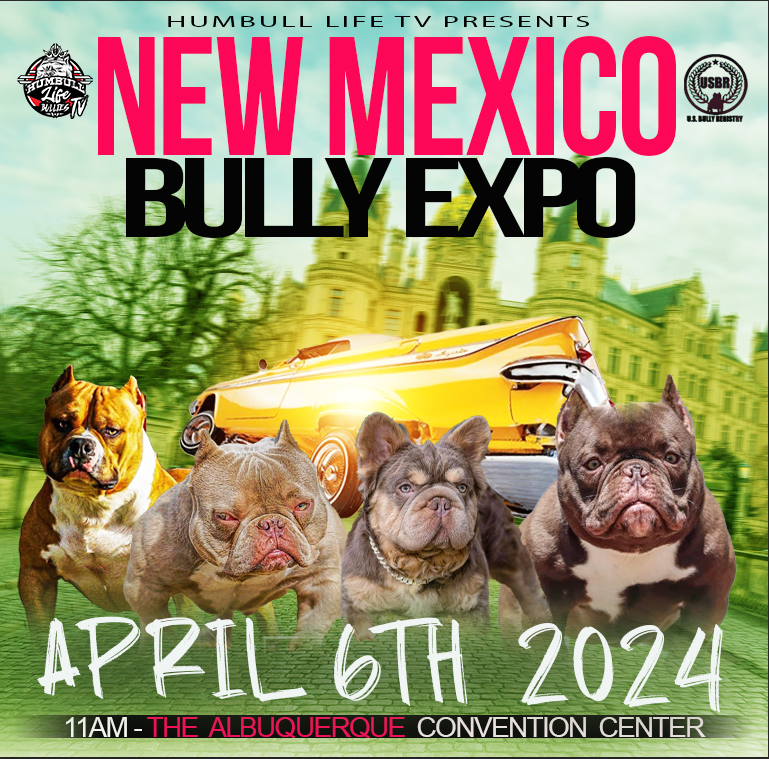 NM Bully Expo